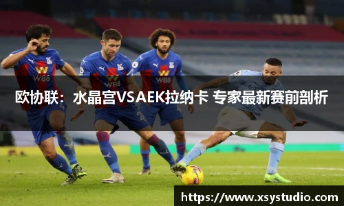 333体育直播